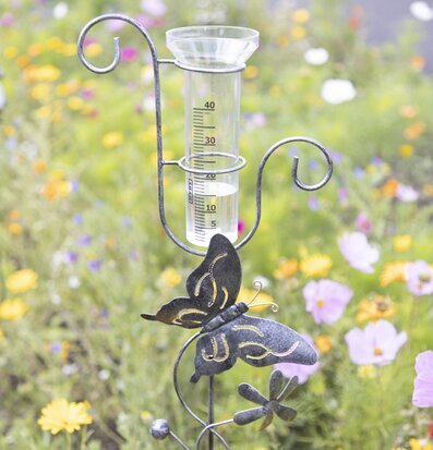 Bild av dekorativ och funktionell regnmätare i trädgård