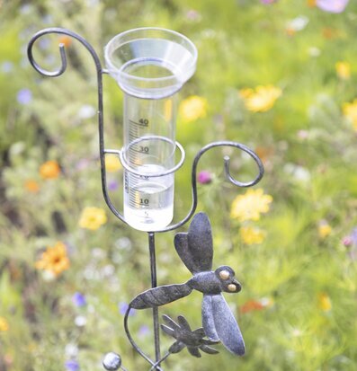 Foto av konstnärlig regnmätare med trollslända