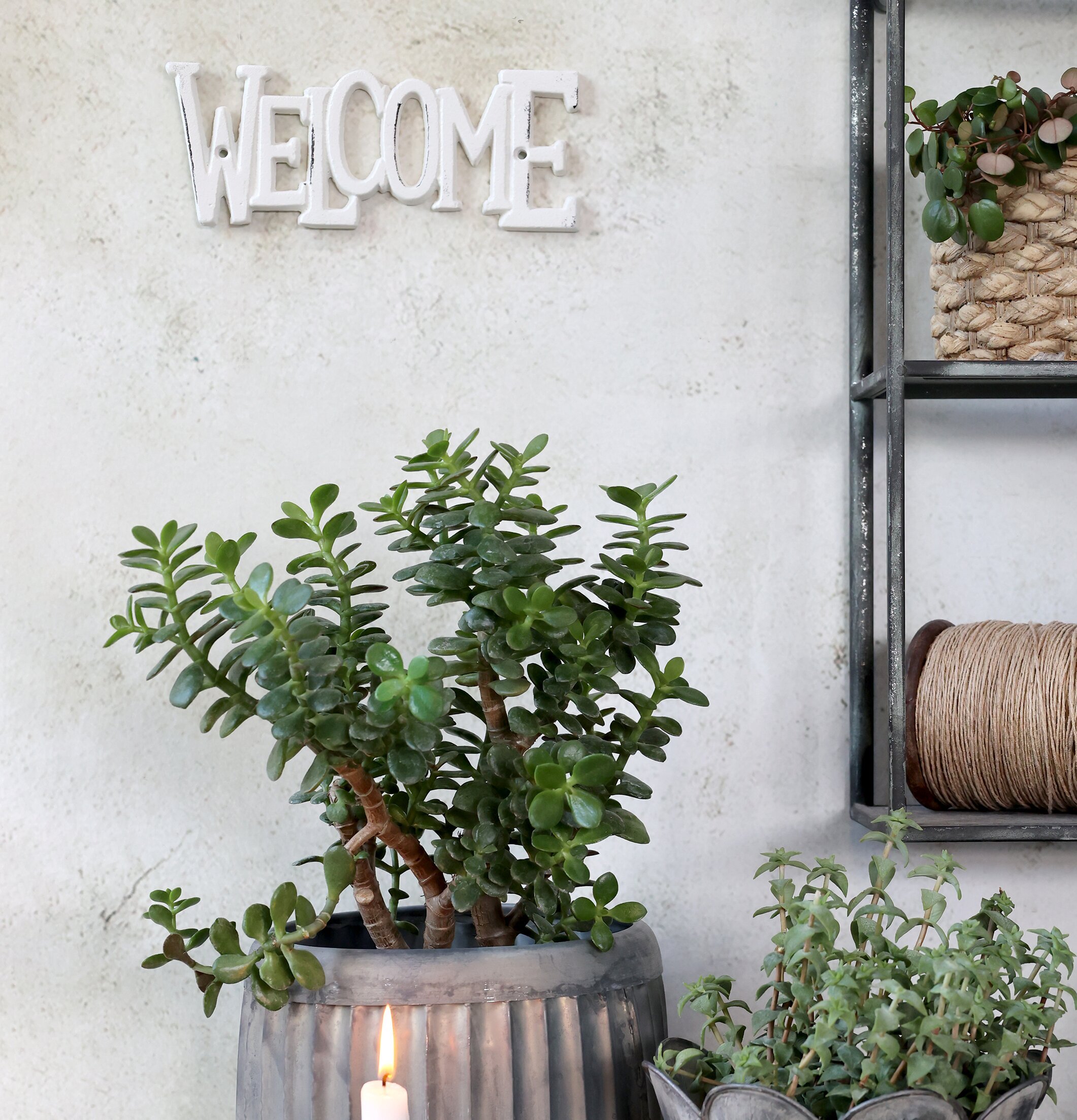 Skylt Welcome Antique Creme från Chic Antique med växter