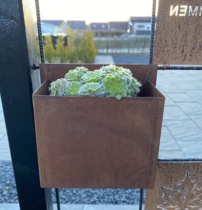 Foto av rustik kruka med växt i industriell stil