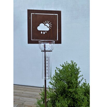 Bild av dekorativ och funktionell regnmätare i trädgård