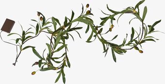 Bild av dekorativ girlang med olivträdets utseende