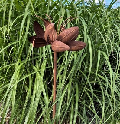 Foto av rustik vindsnurra i grönskande trädgård