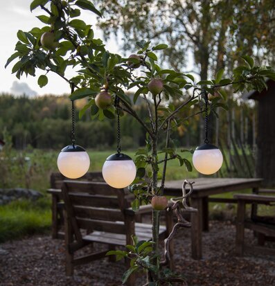 Foto av trädgård med solcellsbelysning och fruktträd