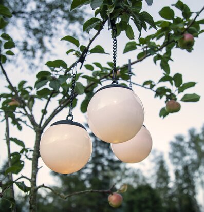 Foto av solcellsdekorationer i fruktträdets grenar
