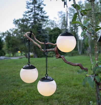 Bild av solcellsdekorationer i naturskön trädgård