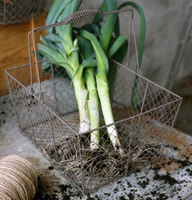 Bild av rustik nätkorg med purjolökar och jordnära känsla