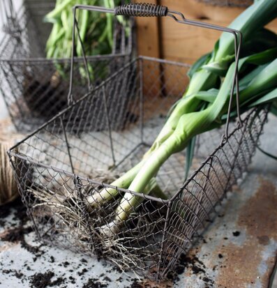 Bild av rustik nätkorg med purjolökar och jordig känsla