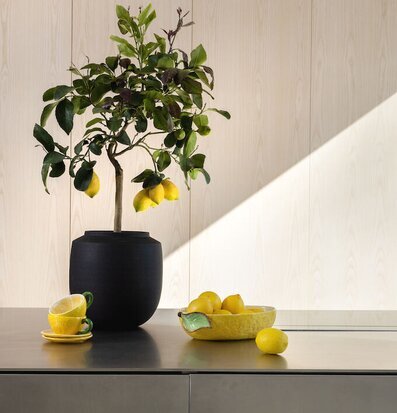 Bild av modernt kök med citroner och naturliga element