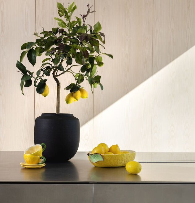 Bild av modernt kök med citroner och naturliga element