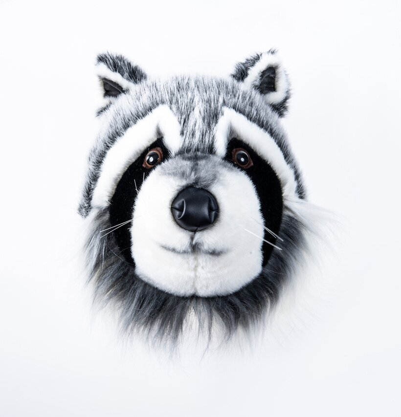 Djurhuvud Tvättbjörn från Brigbys med realistisk design