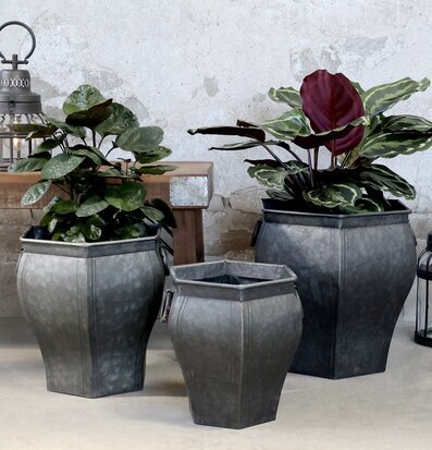 Bild av stilfulla zinkkrukor i rustik inomhusmiljö