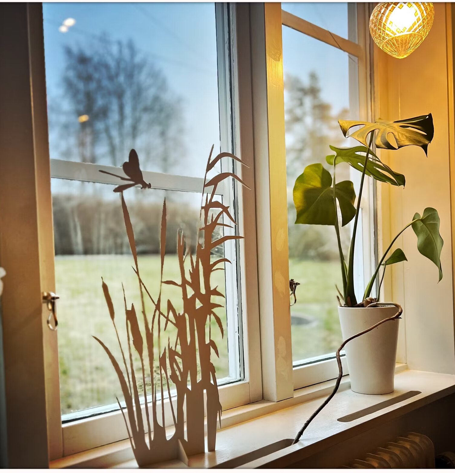 #ÄlskaPlåt Vass Med Dagsslända Vit från Älskaplåt i fönster