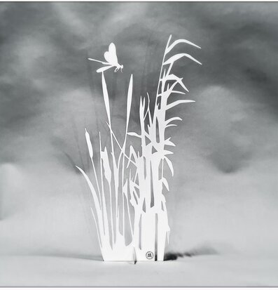 Foto av stilren vit objektdekoration med dagsslända