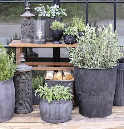 Bild av elegant trädgårdsinstallation med lanterna