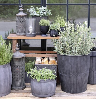 Bild av harmonisk utemiljö med växter och dekorationer