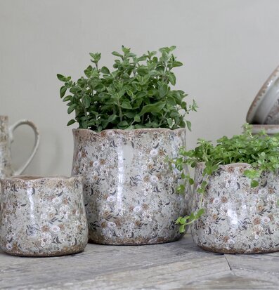 Bild av estetiska krukor med rustik och tidlös design