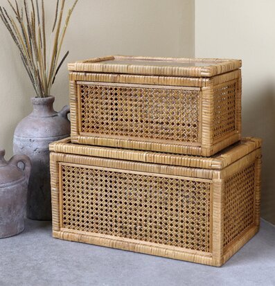 Bild av stilrena flätade rottinglådor i harmonisk miljö