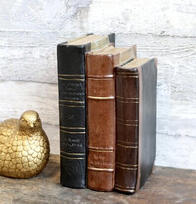 Bild av dekorativa antika böcker och gyllene fågel