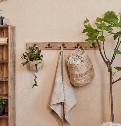 Bild av harmonisk interiör med klädhängare och växter