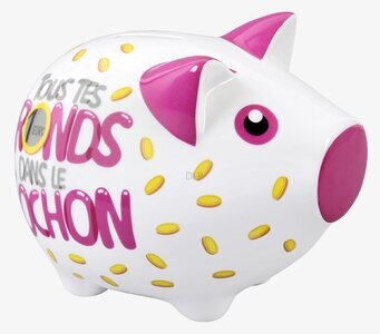 Bild av charmig spargris med livfull design och färger