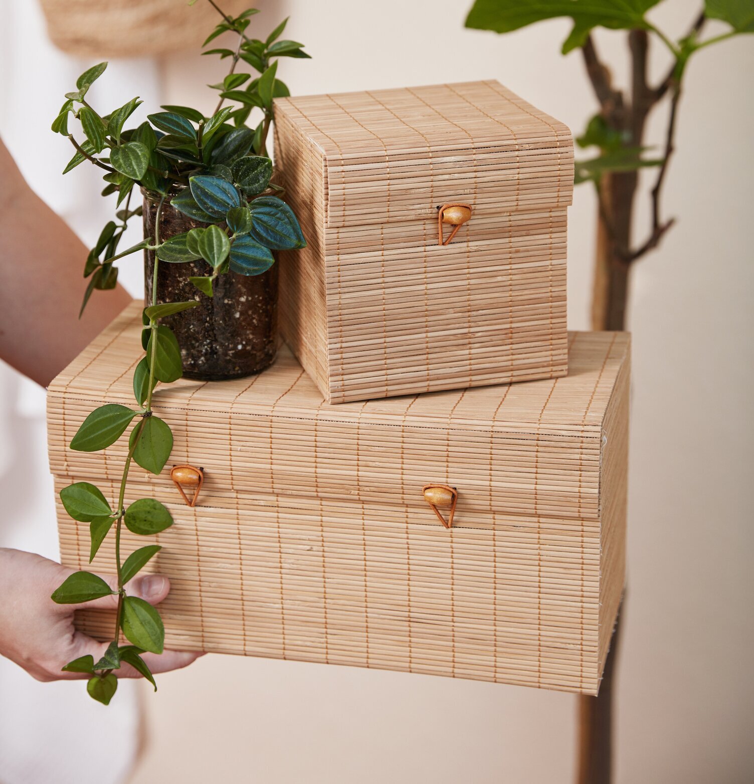 Foto av bambulådor med grön växt i harmonisk miljö