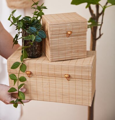 Foto av bambulådor med grön växt i harmonisk miljö