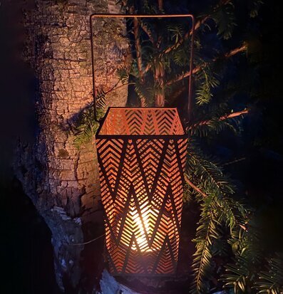 Bild av stämningsfull marschallhållare i naturmiljö