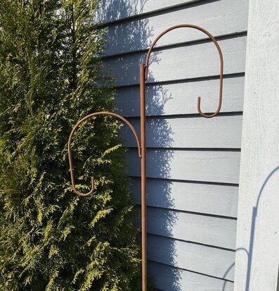 Bild av elegant lykthållare med grönska och skugga