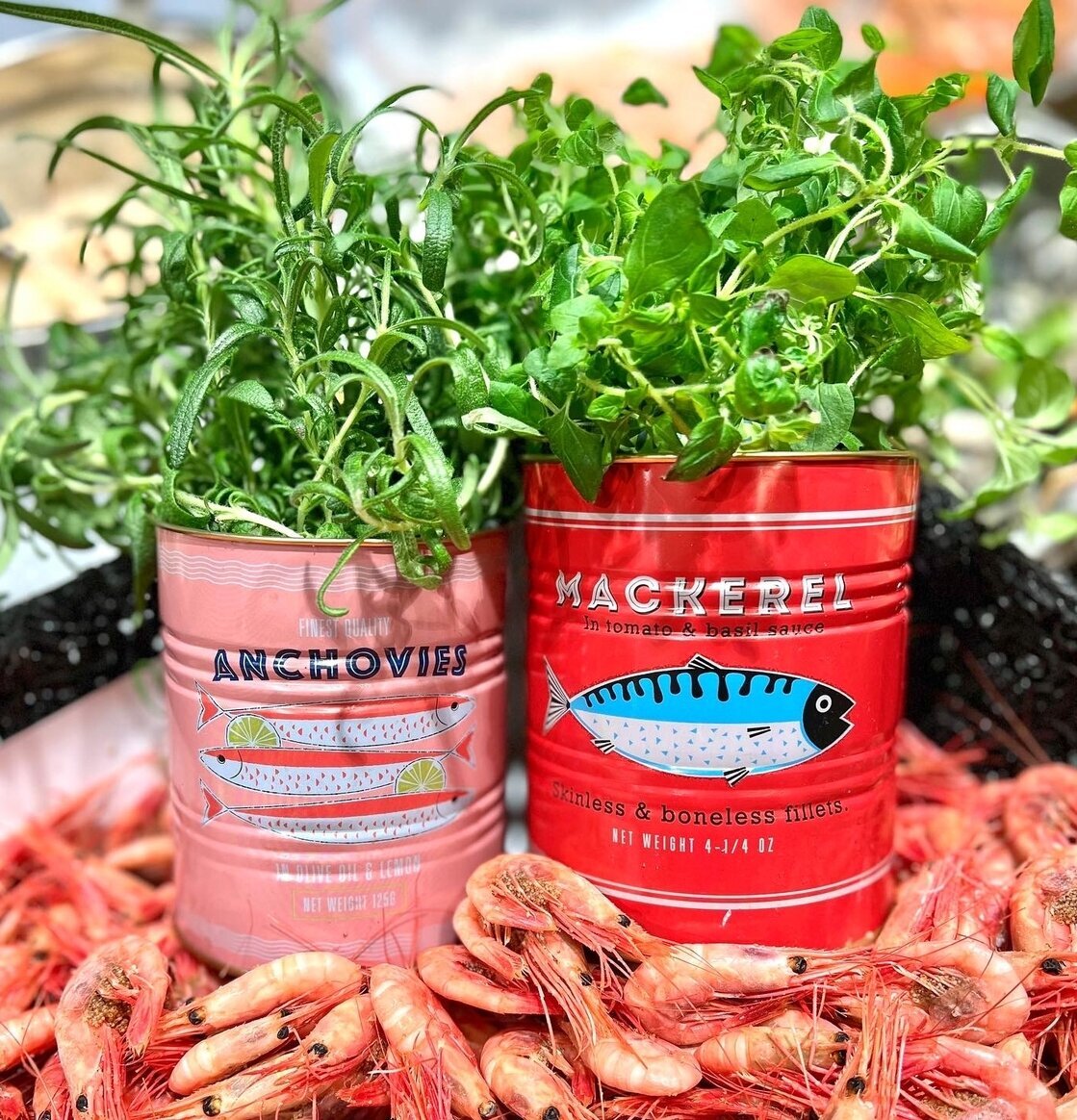 Plåtburk/Plåtkruka Fish från Bromma Kortförlag med örter