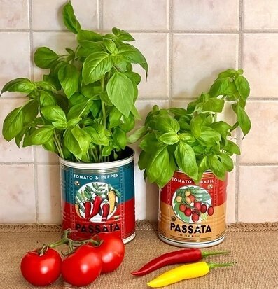 Bild av plåtburkar med basilika och färska grönsaker