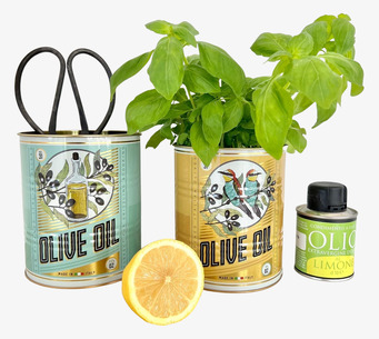 Bild av stilfullt köksarrangemang med olivtema