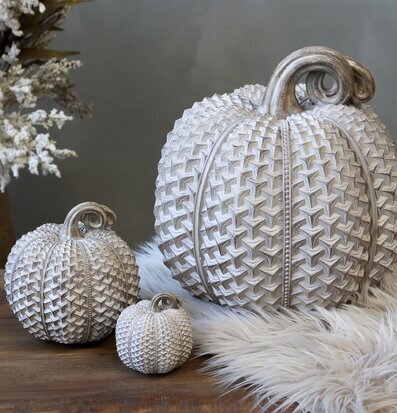 Bild av dekorativa pumpor i rustik och elegant miljö