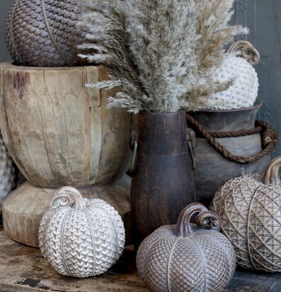 Bild av höstdekorationer med pumpor och pampasgräs