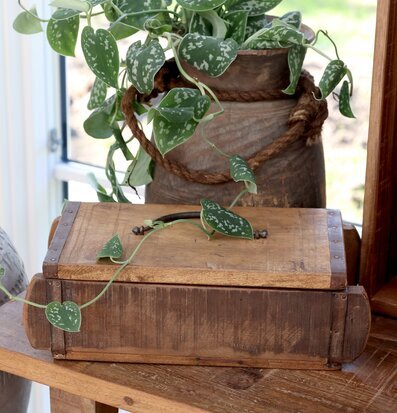 Foto av rustik inredning med trä och växtlighet