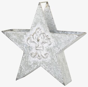Bild av antik zinkstjärna med fleur-de-lis mönster