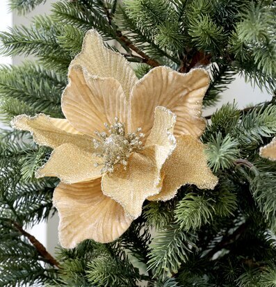 Bild av elegant julblomma med gyllene glitterdetaljer