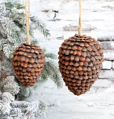 Bild av dekorativa kottar för jul och vinterstämning