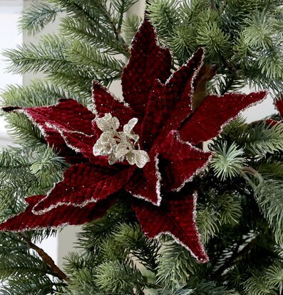 Foto av mörkröd julblomma med clips i vintertema