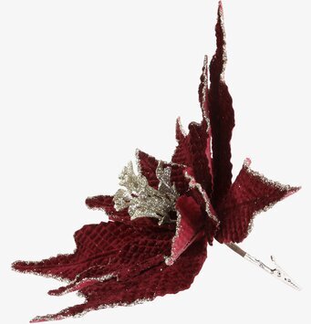 Foto av julblomma med clip och glittrande detaljer