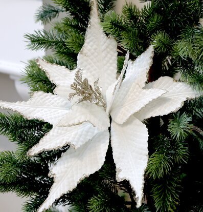 Bild av elegant julblomma med vit och grön kontrast