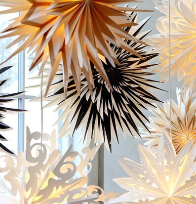 Foto av adventsstjärnor som skapar en varm atmosfär