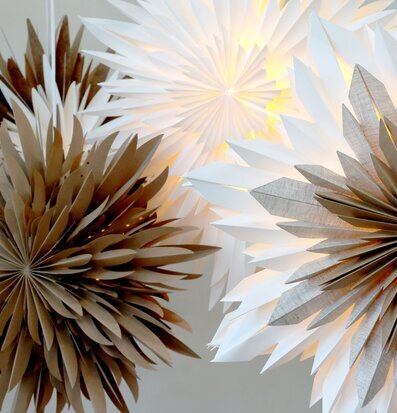 Bild på tre eleganta adventsstjärnor i olika nyanser