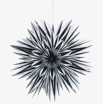 Bild av elegant svartvit adventsstjärna i vintage stil