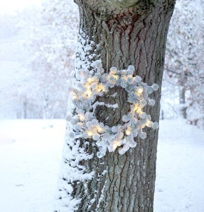 Bild av vintrig scen med krans och snötäckt träd