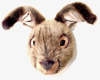 Bild av realistiskt och detaljrikt djurhuvud av hare