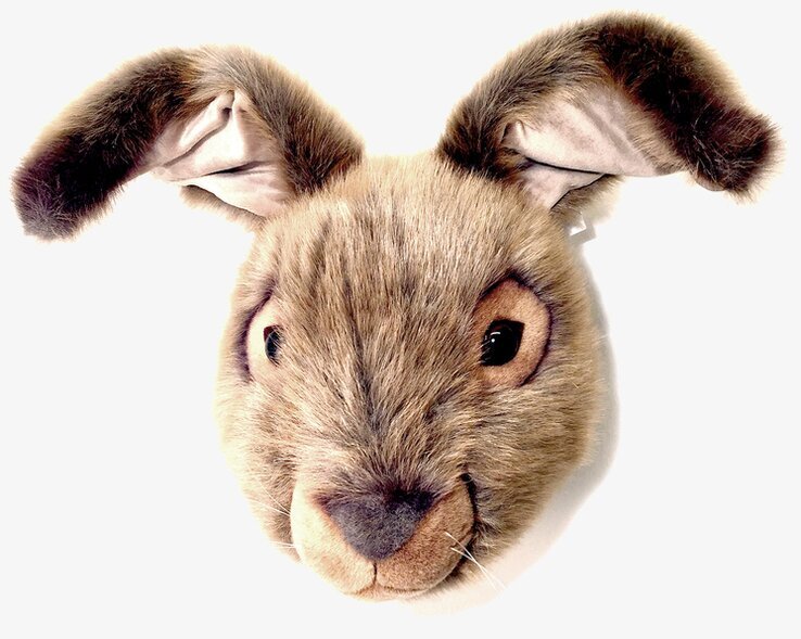 Djurhuvud Hare från Brigbys, realistisk väggprydnad