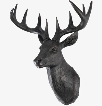 Bild av hjorttrofé med imponerande detaljer och stil