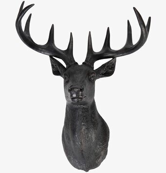 Bild av naturtroget hjorthuvud i rustik inredning
