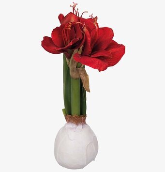 Bild av realistisk röd amaryllis med detaljerad design